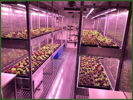 Hydroponic greenhouse